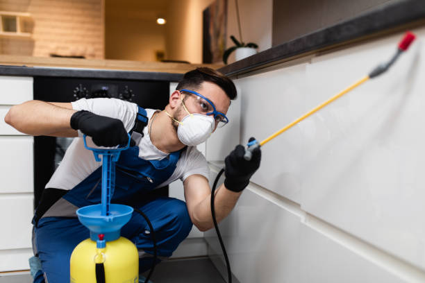 Best Commercial Pest Control Services  in East Syracuse, NY