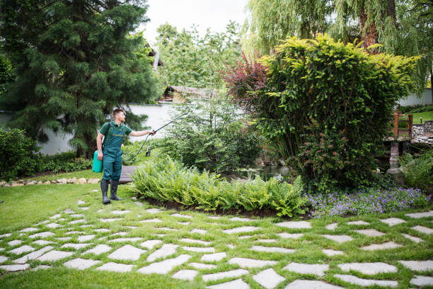 Insect Control in East Syracuse, NY