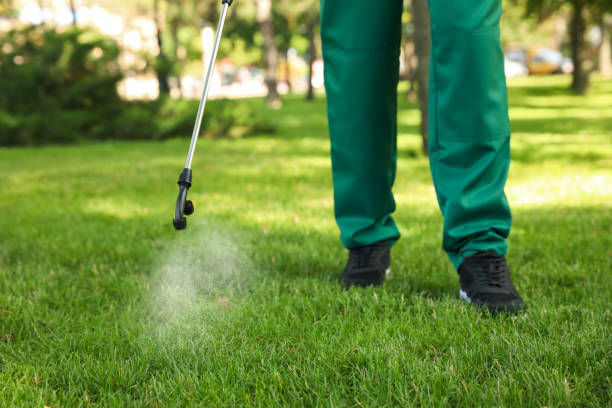 Best Mosquito Control Services  in East Syracuse, NY