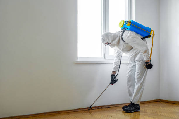Trusted East Syracuse, NY Pest Control Experts