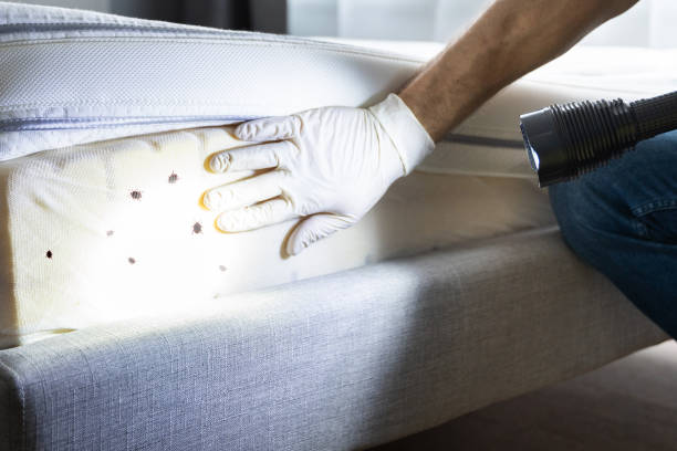 Best Pest Prevention Services  in East Syracuse, NY